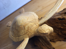 Houten Schildpad op stronk