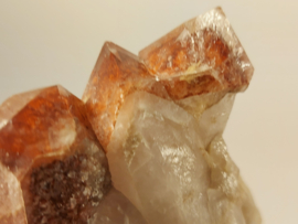 protector tangerine cluster