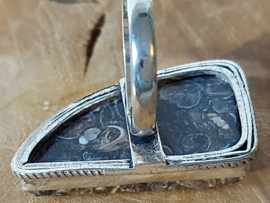 Ring turitella agaat