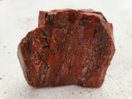 Versteend hout