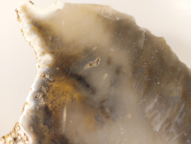 Grote slice (tijger) dendriet agaat