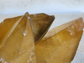 golden dog tooth calciet