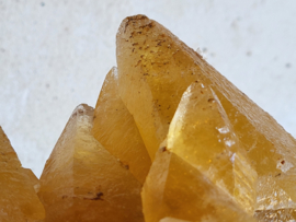 golden dog tooth calciet