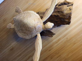Houten Schildpad op stronk