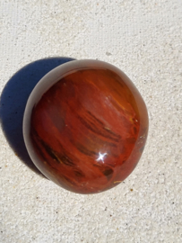 Versteend hout trommelsteen