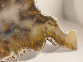 Grote slice (tijger) dendriet agaat