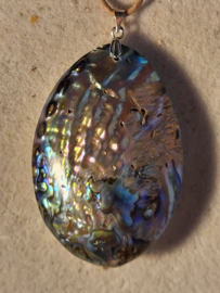 abalone hanger