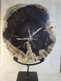 versteend hout op standaard