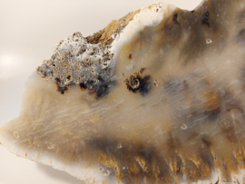 Grote slice (tijger) dendriet agaat