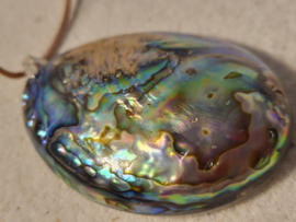 abalone hanger