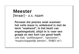 Meester