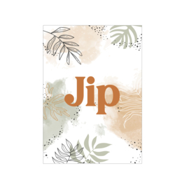 Bord Jip