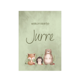 Bord Jurre