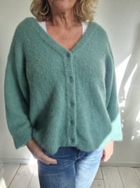 American Vintage vest. Maat L. Groen/mohair.