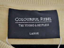 Colourful Rebel Venice Patch sweater. Maat L. Geel.