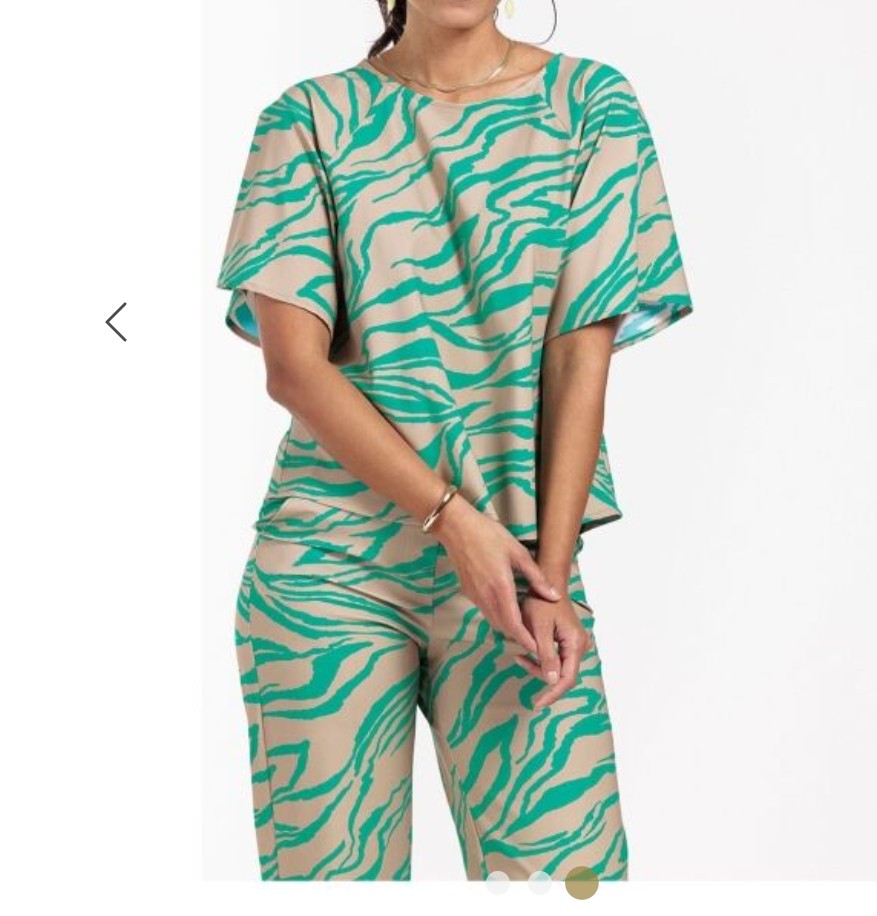 Studio Anneloes Moreen Tiger top. Maat 42, Beige/mintgroen.