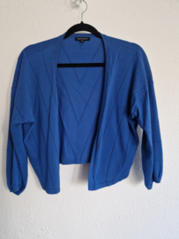 Question vestje. Maat M. Kobalt.