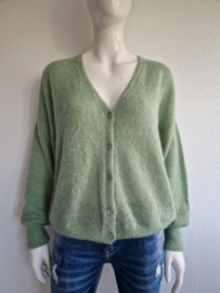 Summum vest. Maat L. Zachtgroen/alpaca.