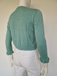 Repeat vest. Maat 38, Mintgroen.