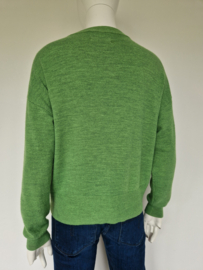Essentiel Antwerp cardigan. Maat S. Groen