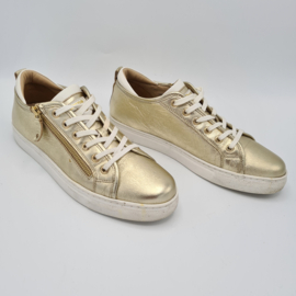 Dune London sneakers. Mt. 41, Goud.