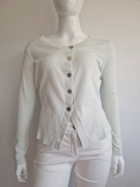 Ted Baker vest. Maat 4. Zachtgroen/print.