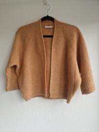 Sissy Boy vest. Maat S. Camel/wol.