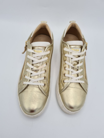 Dune London sneakers. Mt. 41, Goud.