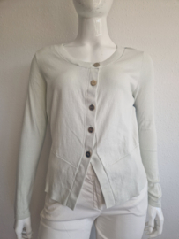 Ted Baker vest. Maat 4. Zachtgroen/print.