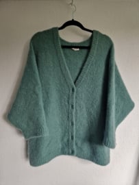 American Vintage vest. Maat L. Groen/mohair.