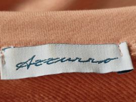 Azzurro oversized T-shirt. Maat OS. Perzik