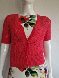 Peter Hahn vestje. Maat 40/42, Fuchsia.
