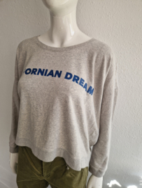 Bellerose sweater. Maat 3. Grijs.