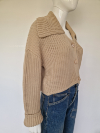 RIANI vest | maat 38 | Beige |