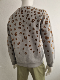 Scotch & Soda sweater. Maat S. Grijs/flockprint.