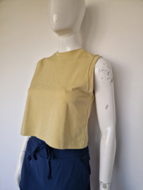 Drykorn Geraldie cropped top XS geel