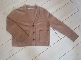 Zenggi cropped cardigan. Maat S. Yak/merino/Everest