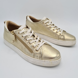 Dune London sneakers. Mt. 41, Goud.