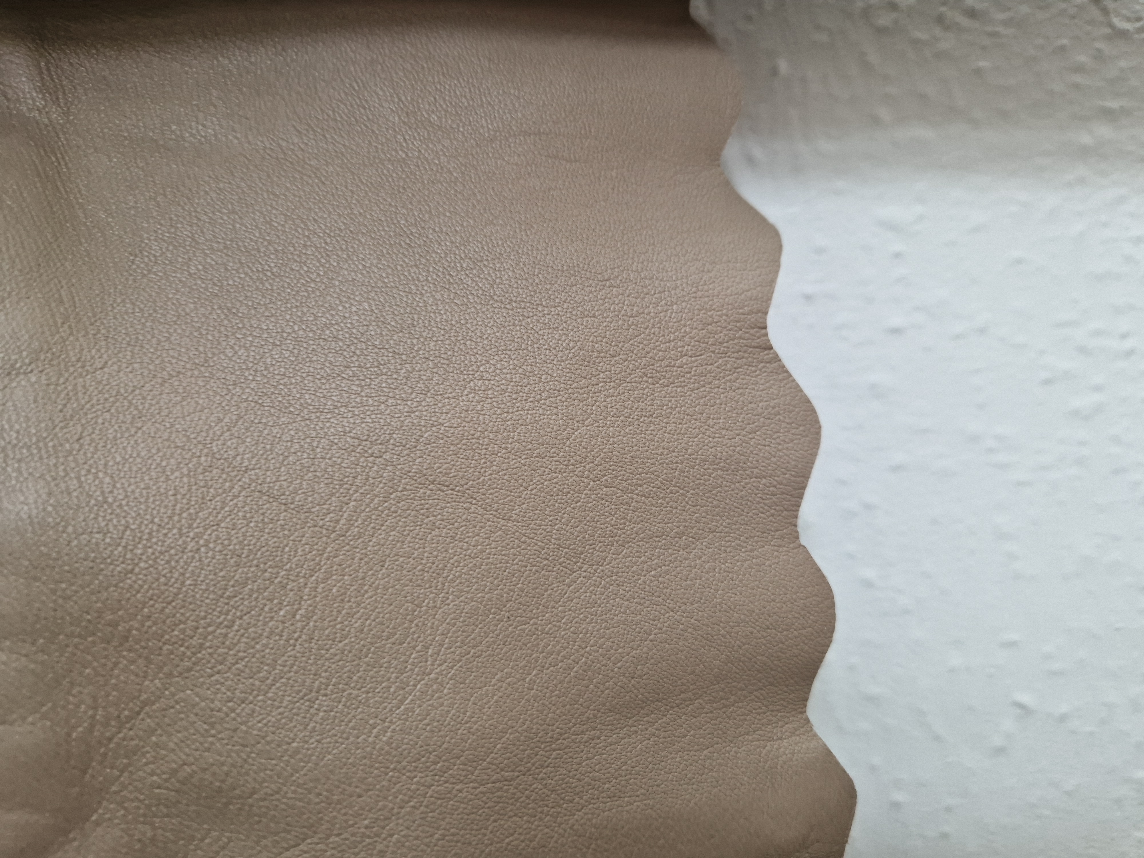 Ibana leren jasje met schulprand. Maat 36/38, Taupe.