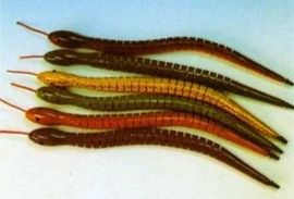 SPF 11 ( wooden tangle snake pen )