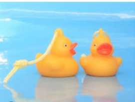 BW 321 ( little happy baby duck )