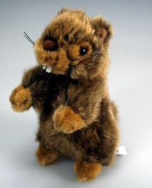 IN 006 ( plush marmot )