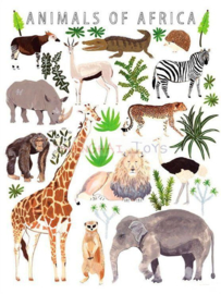 KK ( postcard animals of africa )