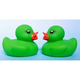 BW 1414 ( water squirter colorful ducks )