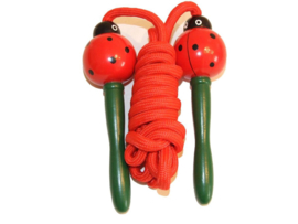 MD 021 ( skipping rope ladybug )