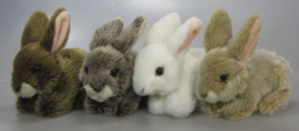 IN 012 ( plush rabbit )