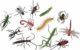 S 001 ( colorful insects in assortment ) ----- 96 pcs in box