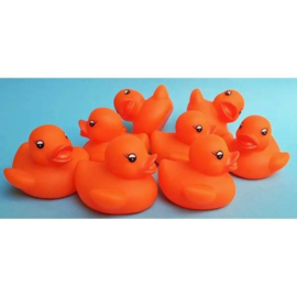 BW 1414 ( water squirter colorful ducks )