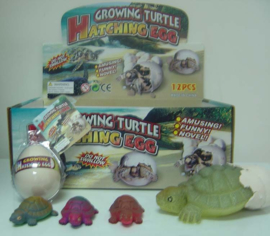 AT 2885 ( growing egg tortoise ) ----- 12 pcs in display