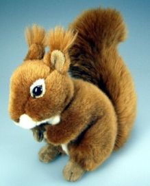 IN 007 ( plush squirrel )